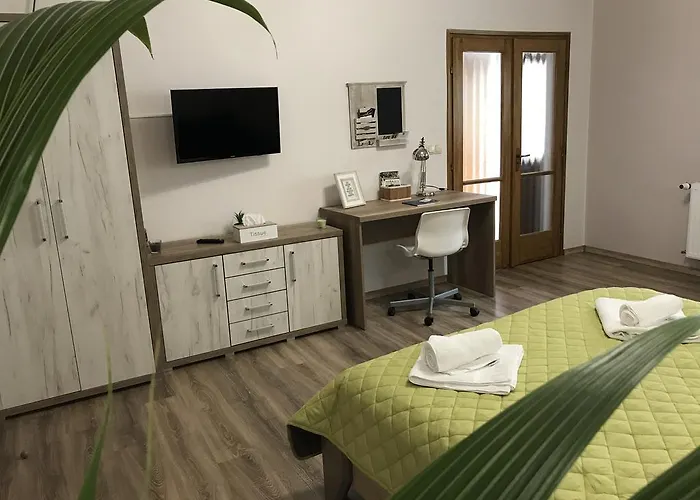 Origo Vendeghaz Pensiune Sárospatak